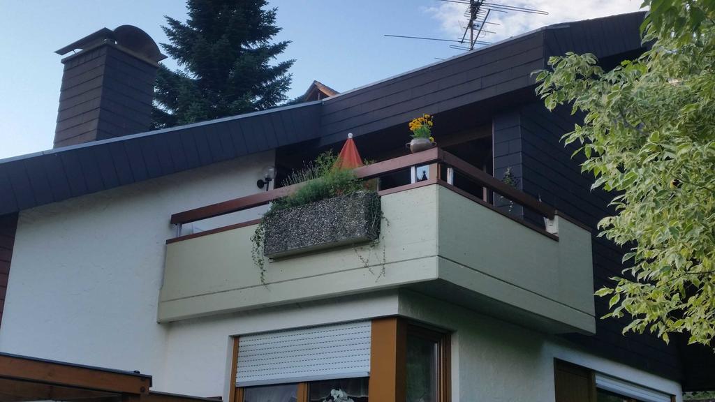 Apartmán Haus Sonnenhang Todtnau Exteriér fotografie