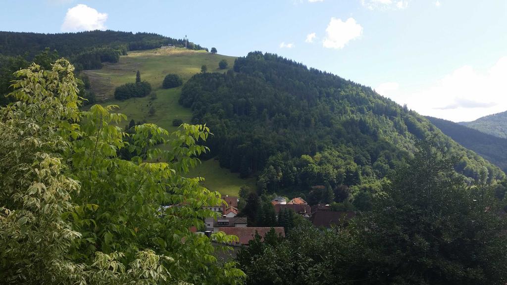 Apartmán Haus Sonnenhang Todtnau Exteriér fotografie